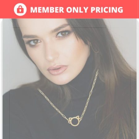 IHD_HERO_VIP_CLUB_MEMBER ONLY PRICING_Graphic copy 2 #image_title