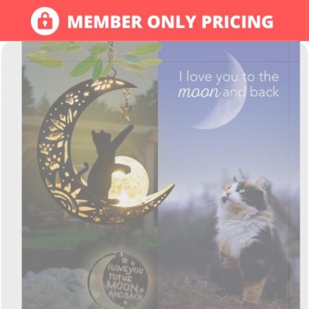 IHD_HERO_VIP_CLUB_MEMBER ONLY PRICING_Graphic copy 5 #image_title