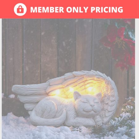 IHD_HERO_VIP_CLUB_MEMBER ONLY PRICING_Graphic copy 6 #image_title
