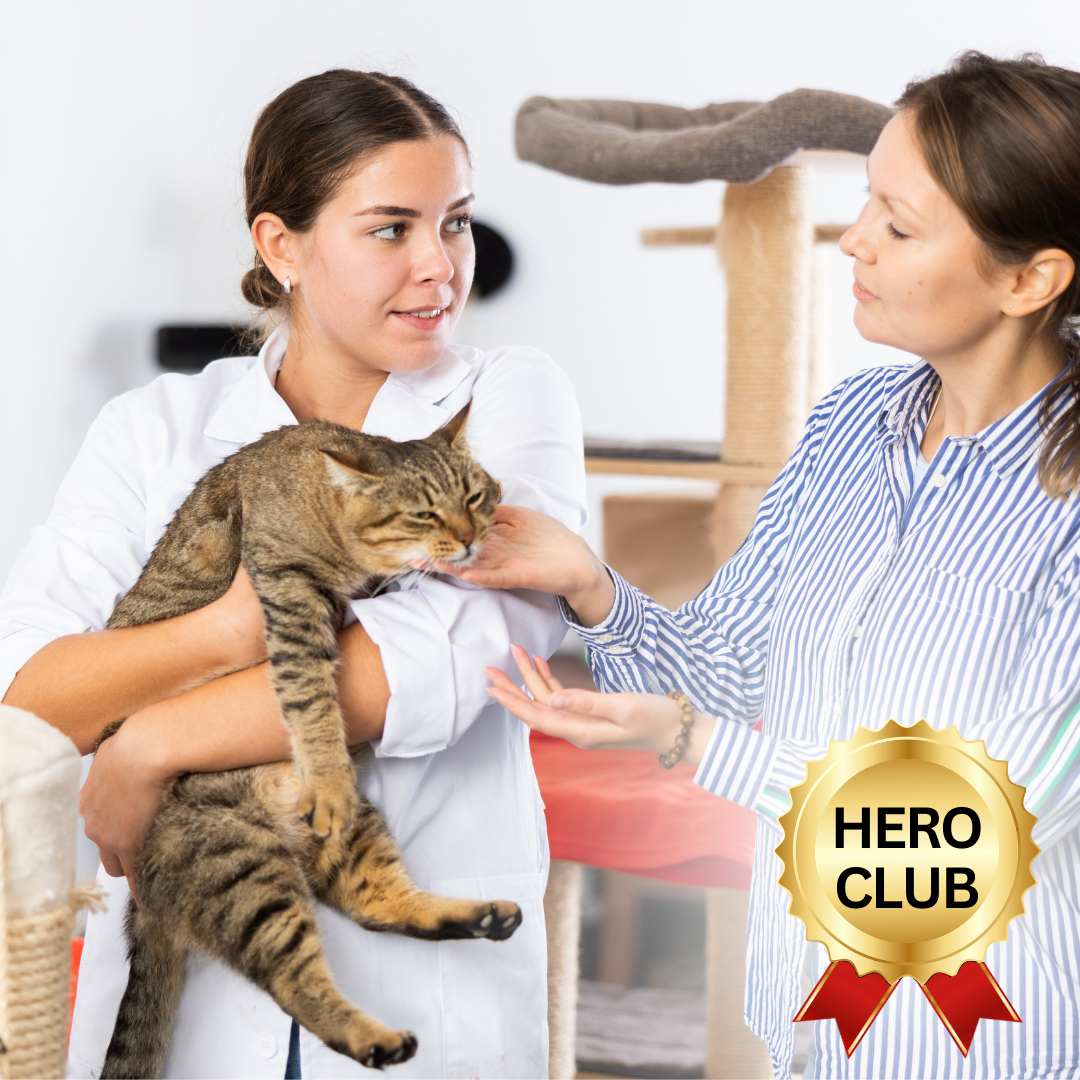HERO CLUB