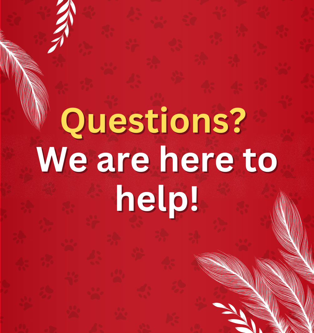 Questions We are here to help 1