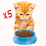 X5 #image_title